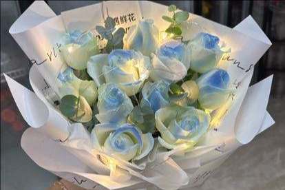 ���ݲ��ϻ���