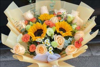 ���ݲ��ϻ���