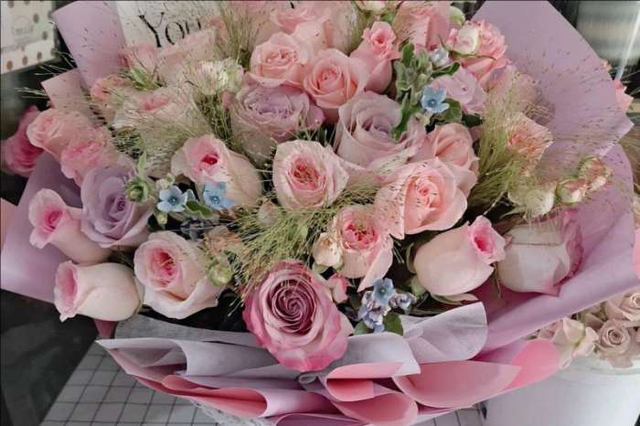 ���ݲ��ϻ���