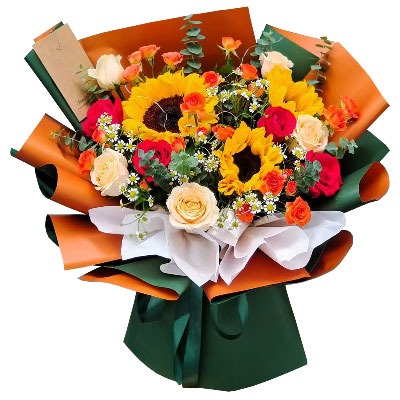 ���ݲ��ϻ���